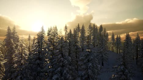 Winterlandschaft-Mit-Nebligem-Bergsonnenuntergang